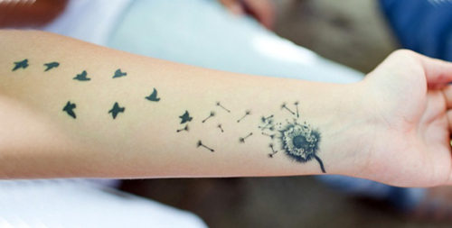 birds tattoos