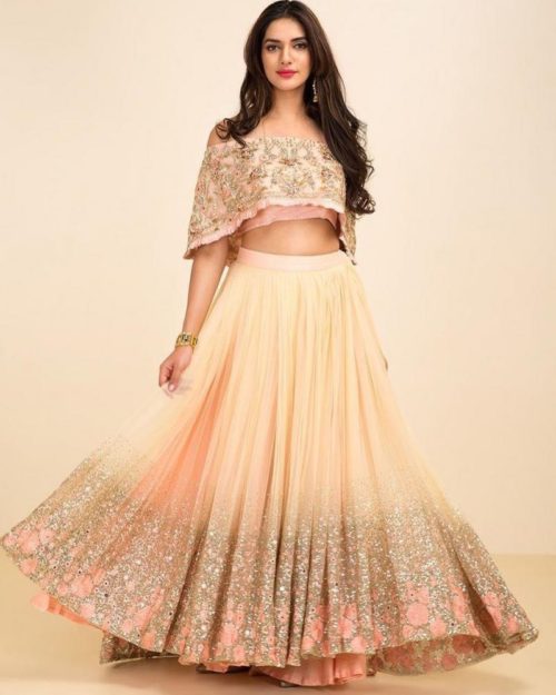 Lehenga choli in Cape sleeves design