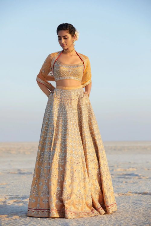 Everything You Want To Know About Anita Dongre Lehenga