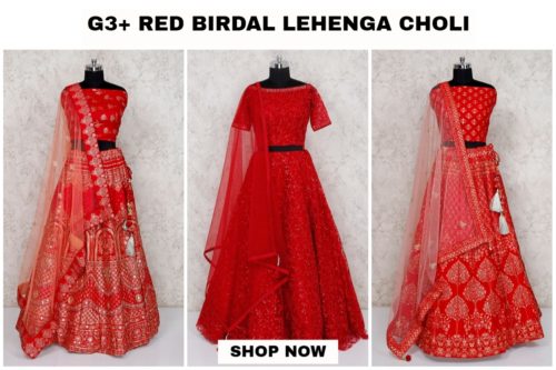 Red Bridal lehenga choli