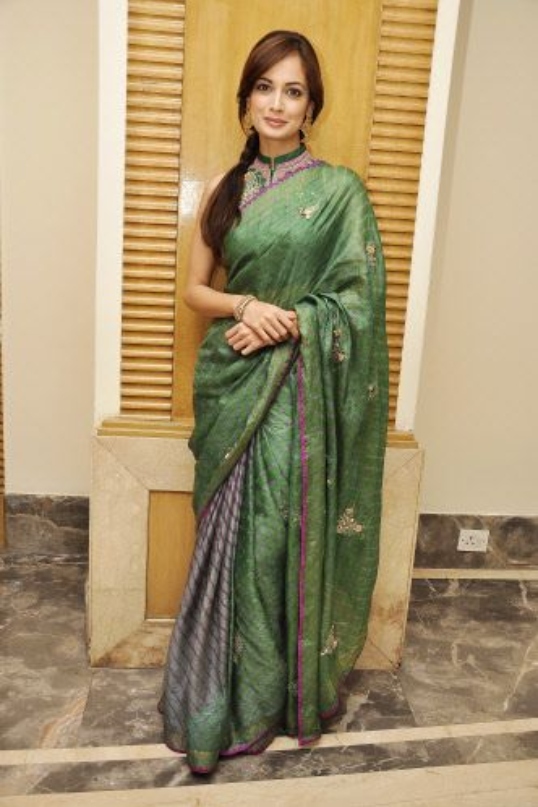 Dia mirza in half and half saree